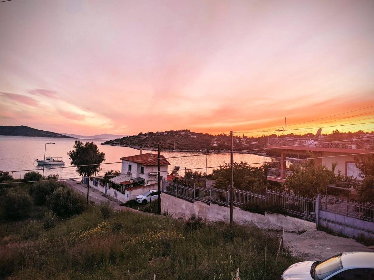 Iliakti Relaxing Seaside Villa Саламис Екстериор снимка
