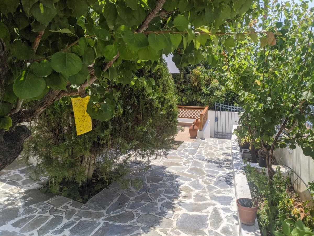 Iliakti Relaxing Seaside Villa Саламис Екстериор снимка